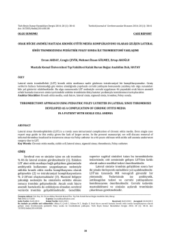 Turkish - JournalAgent