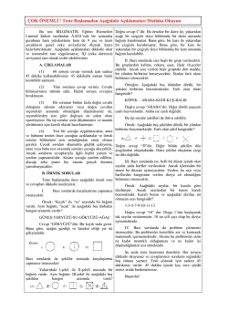IQ Testi &ouml;rneği-2