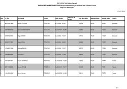 Sosyal Hizmet - Sağlık Bilimleri Enstit&uuml;s&uuml;