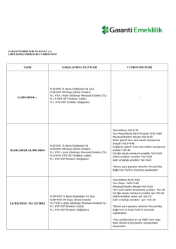 Fon Karşılaştırma &Ouml;l&ccedil;&uuml;t&uuml; ve Yatırım Stratejisi