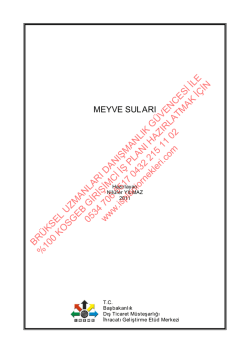 Meyve suyu imalatı iş planı &ouml;rnekleri