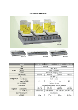 &Ccedil;oklu Manyetik Karıştırıcı kataloğunu PDF olarak