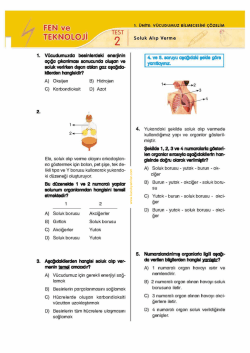 soluk alıp verme test