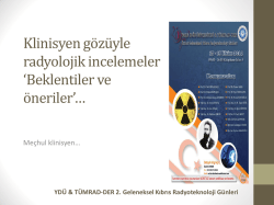 Dr. Mehmet Ergin - Yakın Doğu &Uuml;niversitesi