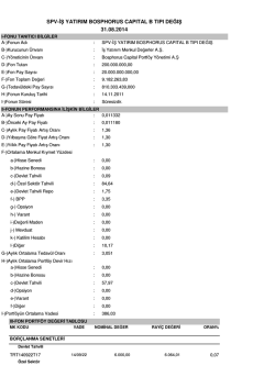 spv-iş yatırım bosphorus capıtal b tıpı değış 31.08.2014