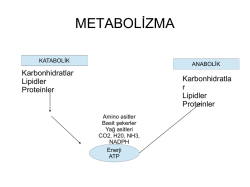 metabolik olaylar-22 nisan 2014