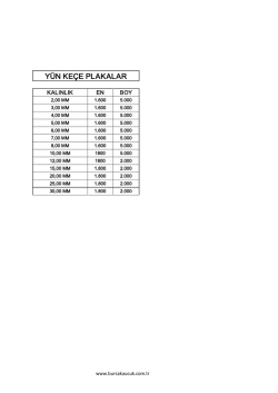 Y&Uuml;N KE&Ccedil;E PLAKALAR