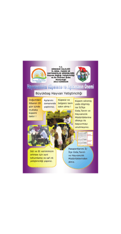 B&uuml;y&uuml;kbaş Hayvan Yetiştiriciliği