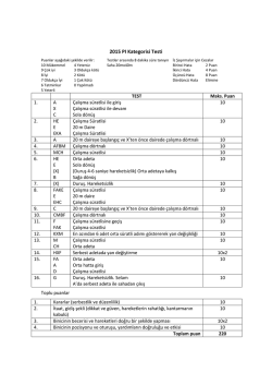 PI Kategorisi Yarışma Testi