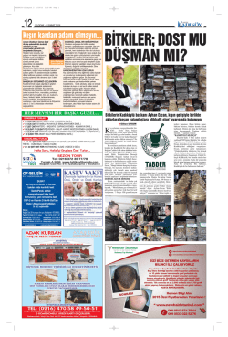 Kışın kardan adam olmayın