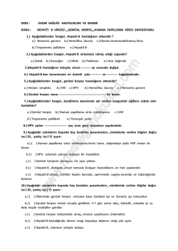 HepatitB_Genital_Herpes_Human_Papilloma_Virus_quizz