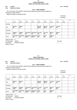 T.C. G&Ouml;NEN KAYMAKAMLIĞI SARIK&Ouml;Y &Ccedil;OK PROGRAMLI