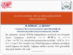 CLIC`de anomal WWZGamma bağlaşımının incelenmesi