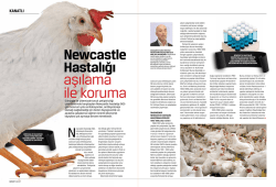 Newcastle Hastalığı Aşılama ile Koruma