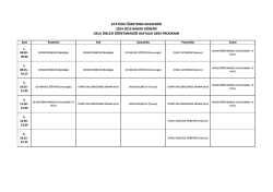 A&Ouml;A Okul &Ouml;ncesi &Ouml;ğretmenliği Ders Programı