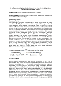 Deney 6 - Serum lipid tayini