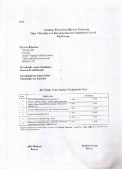 Ek-l Hacettepe &Uuml;niversitesi &Ouml;ğretim &Uuml;yelerinin Diğer Y&uuml;ksek&ouml;ğretim