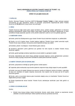 san-el m&uuml;hendislik elektrik taahh&uuml;t sanayi ve ticaret a.ş. riskin erken