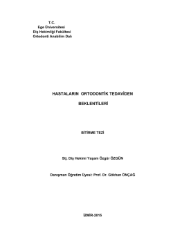 1306 - Ege &Uuml;niversitesi Diş Hekimliği Fak&uuml;ltesi