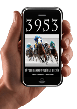 tıklayınız - Liderform