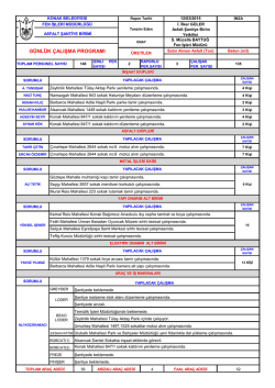 g&uuml;nl&uuml;k &ccedil;alışma programı