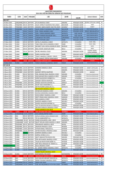 M A R T N İ S A N - Hacettepe &Uuml;niversitesi
