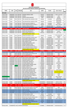 M A R T N İ S A N - Hacettepe &Uuml;niversitesi
