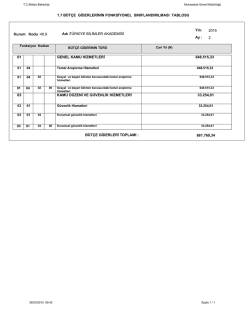 B&uuml;t&ccedil;e Giderlerinin Fonksiyonel Sınıflandırılması