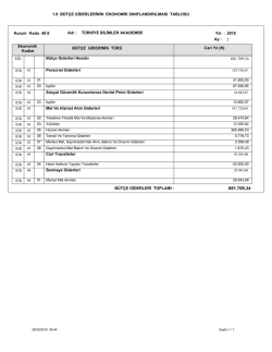 B&uuml;t&ccedil;e Giderlerinin Ekonomik Sınıflandırılması