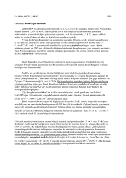 Ders Notu - Restriksiyon Enzimleri 2015.pdf