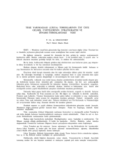 toroslarının &uuml;st &uuml;ste gelmiş &uuml;nitelerinin stratigrafisi ve dinaro