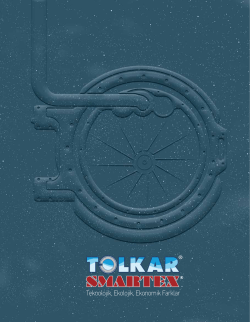 Teknolojik, Ekolojik, Ekonomik Farklar