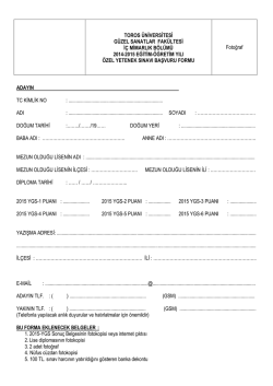 İ&ccedil; Mimarlık B&ouml;l&uuml;m&uuml; - Toros &Uuml;niversitesi