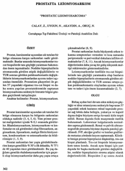 Full Text (PDF) - Turkish Journal of Urology