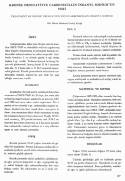 Tam Metin (PDF)