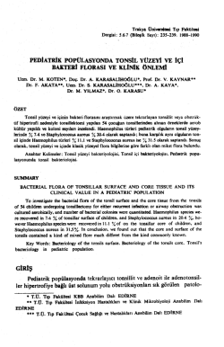 Bu PDF dosyasını indir
