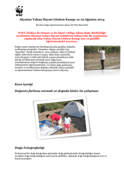 Ahır Listesi At İsmi Antrenör İsmi Ahır No Yaş Sahip İsmi Grubu 1 / 18