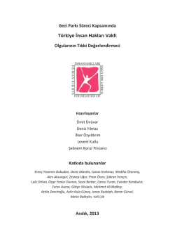 Curriculum Vitae Sumru Guler Altug