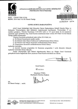 G&uuml;ncel Mali Sorunlar 1