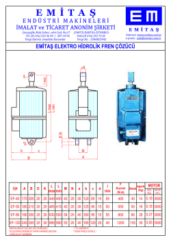 Alstom T&uuml;rkiye Kimlik Kartı