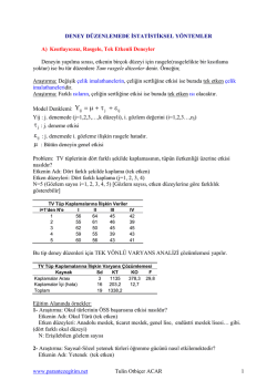 iki veya üzeri dil dersi alanlar ya da aynı dil dersinden iki kur alanlar