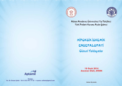 Ek-2 U&ccedil;ak Harek&acirc;t Memuru (Seviye 4) Ulusal