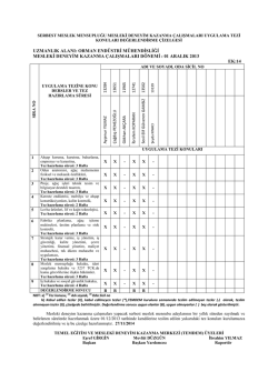 futsal ligi istanbul ayağı