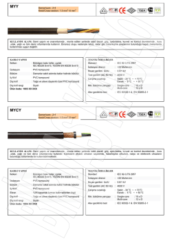 İŞ Y&Uuml;K&Uuml; MALİYET ANALİZİ - T&uuml;rkiye Kamu Hastaneleri Kurumu