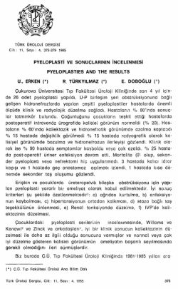 Tam Metin (PDF)