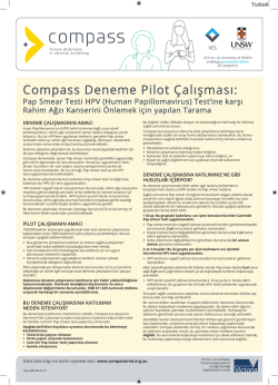 Compass Deneme Pilot &Ccedil;alışması:
