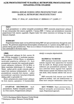 Tam Metin (PDF)