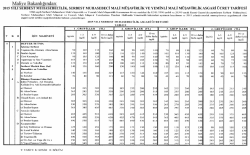 2015 Yılı Serbest Muhasebecilik, Serbest Muhasebeci Mali M&uuml;şavirlik
