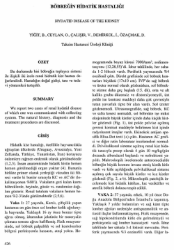 Tam Metin (PDF)