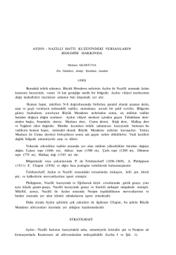 tam metin, PDF